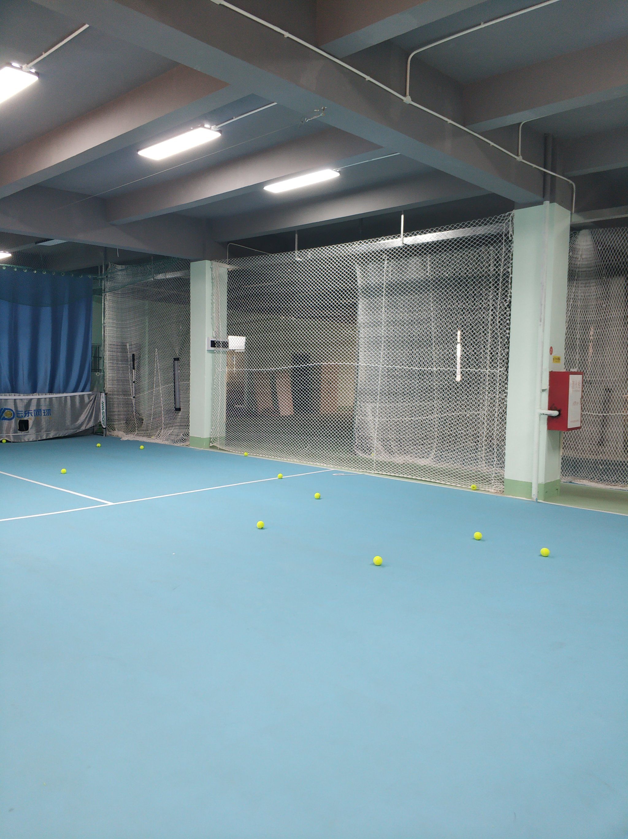 吸引了全球 吸引了全球